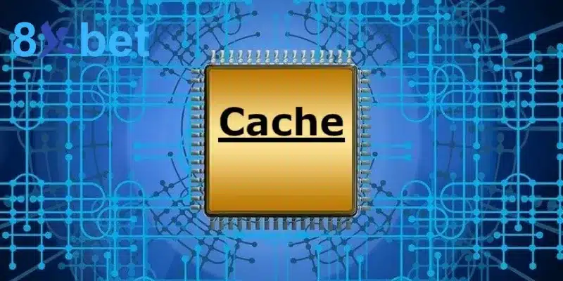 Các bước xử lý lỗi khi thực hiện đăng nhập 8XBET